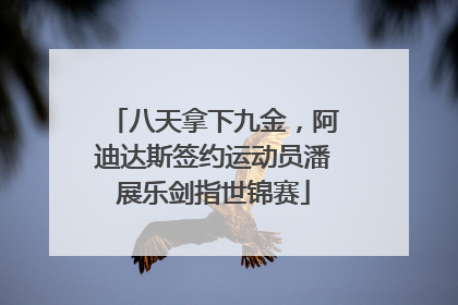 八天拿下九金，阿迪达斯签约运动员潘展乐剑指世锦赛