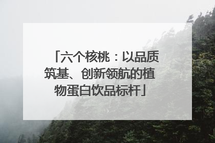 六个核桃：以品质筑基、创新领航的植物蛋白饮品标杆
