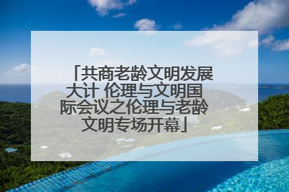 共商老龄文明发展大计 伦理与文明国际会议之伦理与老龄文明专场开幕