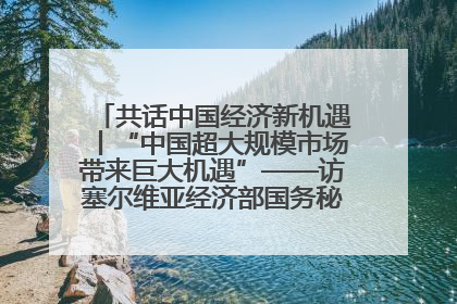 共话中国经济新机遇丨“中国超大规模市场带来巨大机遇”——访塞尔维亚经济部国务秘书尼科利奇
