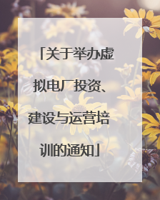 关于举办虚拟电厂投资、建设与运营培训的通知