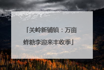关岭新铺镇：万亩蜂糖李迎来丰收季