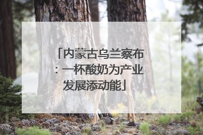 内蒙古乌兰察布:一杯酸奶为产业发展添动能