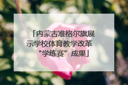 内蒙古准格尔旗展示学校体育教学改革“学练赛”成果