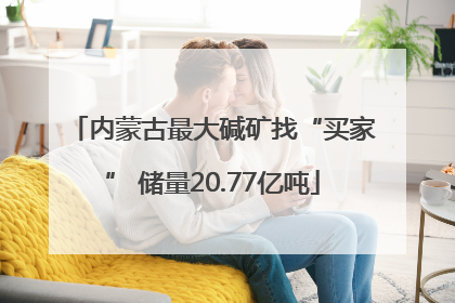 内蒙古最大碱矿找“买家” 储量20.77亿吨