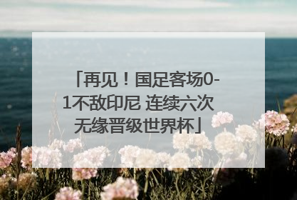 再见！国足客场0-1不敌印尼 连续六次无缘晋级世界杯