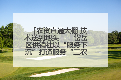 农资直通大棚 技术送到地头——岱岳区供销社以“服务下沉”打通服务“三农”最后一公里