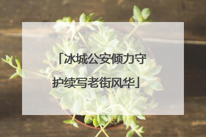 冰城公安倾力守护续写老街风华