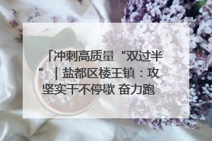 冲刺高质量“双过半”｜盐都区楼王镇：攻坚实干不停歇 奋力跑赢“上半场”