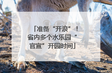 准备“开浪”！省内多个水乐园“官宣”开园时间