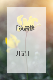 凌晨修井记