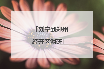 刘宁到郑州经开区调研