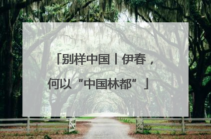 别样中国丨伊春，何以“中国林都”