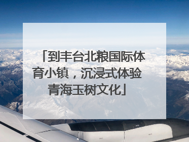 到丰台北粮国际体育小镇，沉浸式体验青海玉树文化