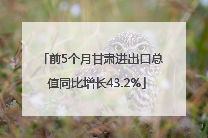 前5个月甘肃进出口总值同比增长43.2%