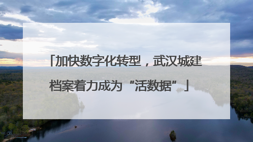加快数字化转型，武汉城建档案着力成为“活数据”