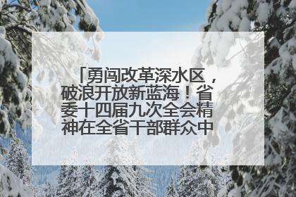 勇闯改革深水区，破浪开放新蓝海！省委十四届九次全会精神在全省干部群众中引发热烈反响