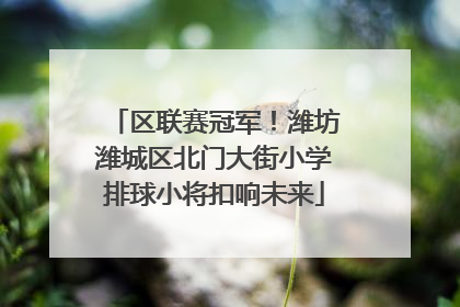 区联赛冠军！潍坊潍城区北门大街小学排球小将扣响未来