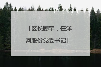 区长顾宇，任洋河股份党委书记