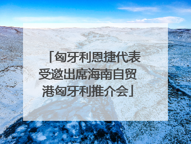 匈牙利恩捷代表受邀出席海南自贸港匈牙利推介会