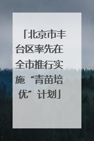 北京市丰台区率先在全市推行实施“青苗培优”计划