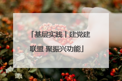 基层实践丨建党建联盟 聚振兴功能