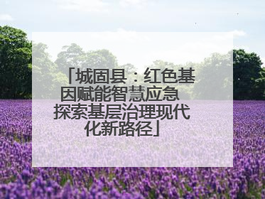 城固县：红色基因赋能智慧应急 探索基层治理现代化新路径