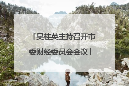 吴桂英主持召开市委财经委员会会议