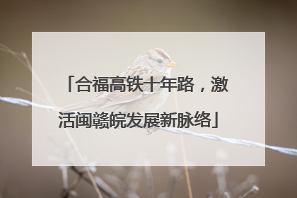 合福高铁十年路，激活闽赣皖发展新脉络