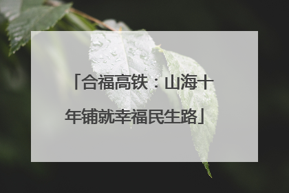 合福高铁：山海十年铺就幸福民生路