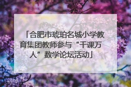 合肥市琥珀名城小学教育集团教师参与“千课万人”数学论坛活动