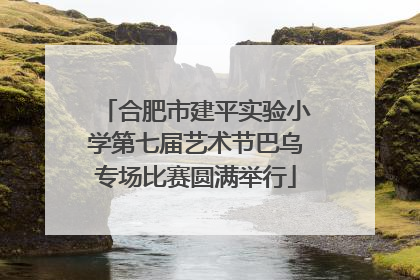 合肥市建平实验小学第七届艺术节巴乌专场比赛圆满举行