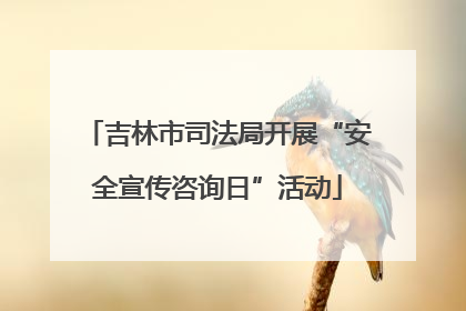 吉林市司法局开展“安全宣传咨询日”活动