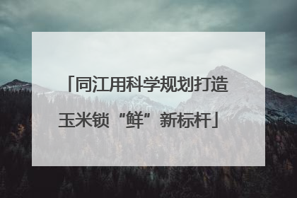 同江用科学规划打造玉米锁“鲜”新标杆