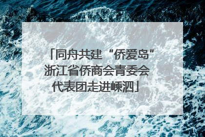 同舟共建“侨爱岛” 浙江省侨商会青委会代表团走进嵊泗