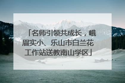 名师引领共成长，峨眉实小、乐山市白兰花工作站送教南山学区