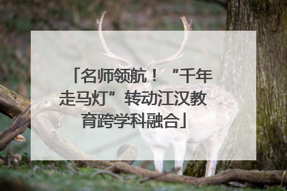 名师领航！“千年走马灯”转动江汉教育跨学科融合
