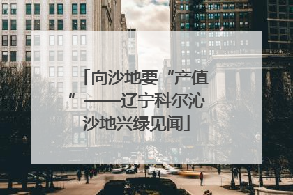 向沙地要“产值”——辽宁科尔沁沙地兴绿见闻