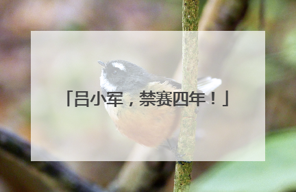 吕小军，禁赛四年！