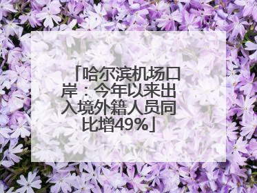哈尔滨机场口岸：今年以来出入境外籍人员同比增49%