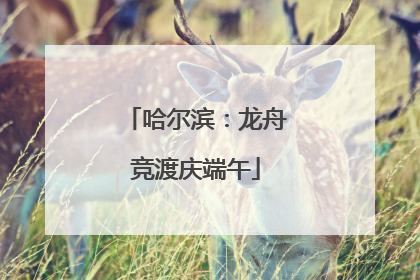 哈尔滨：龙舟竞渡庆端午