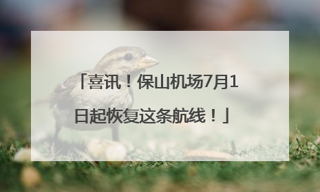 喜讯！保山机场7月1日起恢复这条航线！