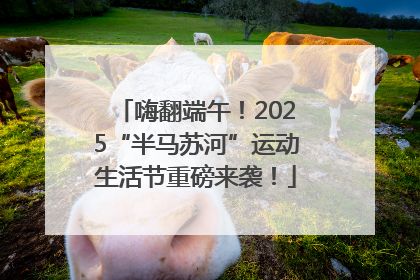嗨翻端午！2025“半马苏河”运动生活节重磅来袭！