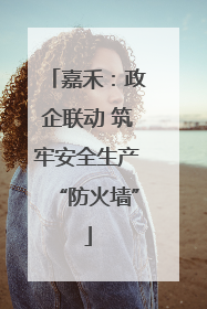 嘉禾：政企联动 筑牢安全生产“防火墙”