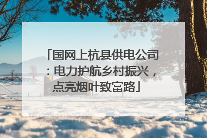 国网上杭县供电公司：电力护航乡村振兴，点亮烟叶致富路