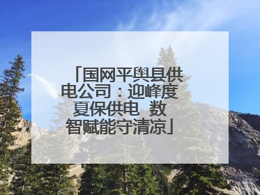 国网平舆县供电公司：迎峰度夏保供电  数智赋能守清凉