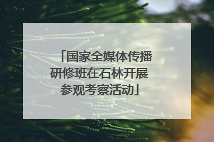 国家全媒体传播研修班在石林开展参观考察活动