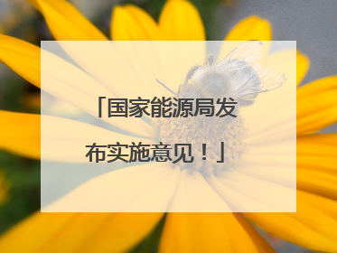 国家能源局发布实施意见！