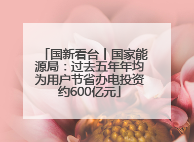 国新看台丨国家能源局：过去五年年均为用户节省办电投资约600亿元