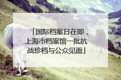 国际档案日在即，上海市档案馆一批抗战珍档与公众见面